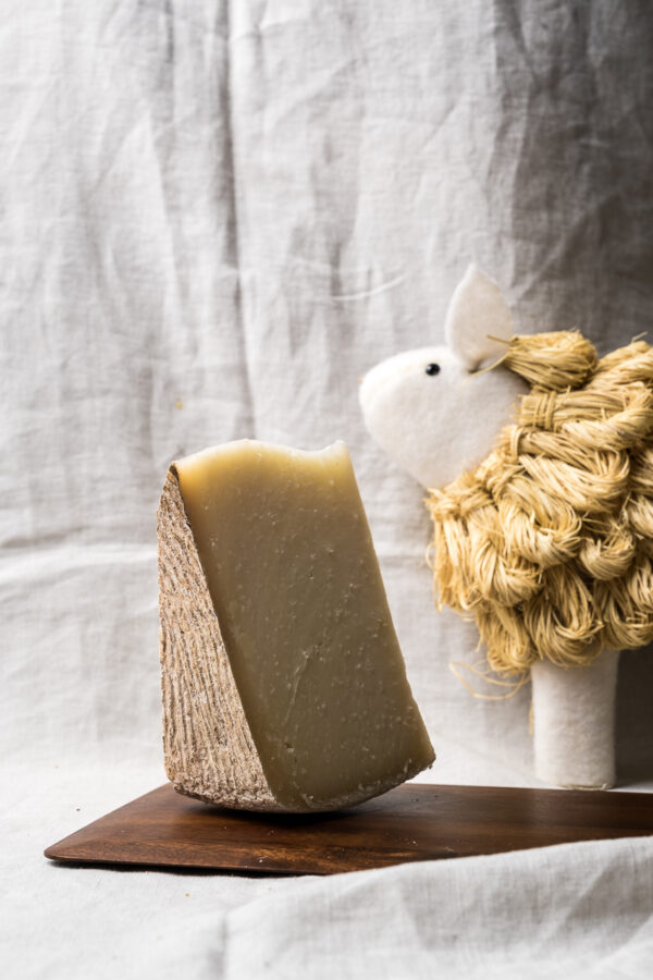 Pecorino Riserva Fondatore