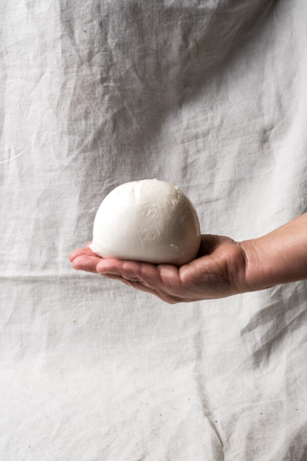 Mozzarella di Bufala DOP