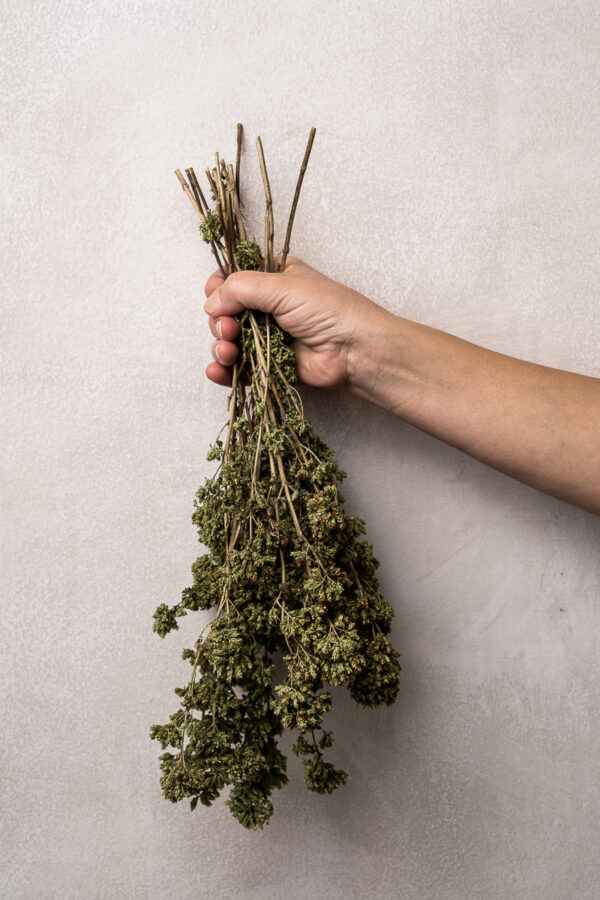 Oregano Salvaje de Sicilia