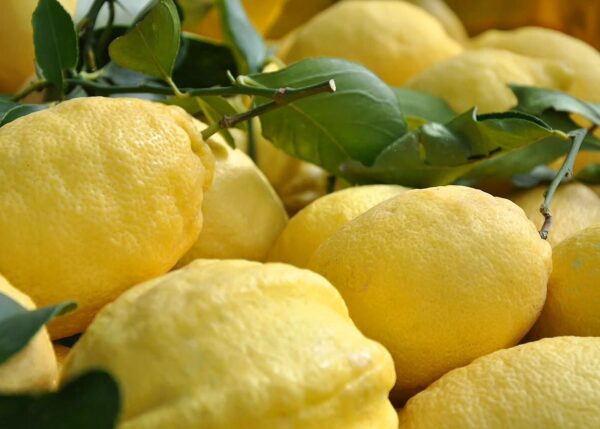 Limoncello IGP - Imagen 2